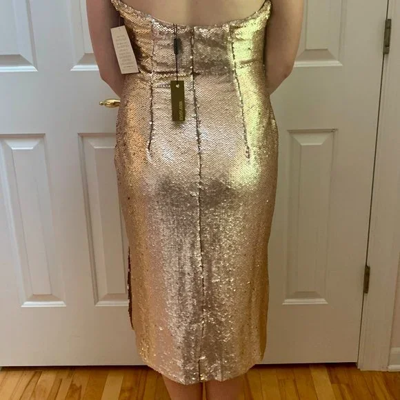Alexia admor 2025 sequin dress